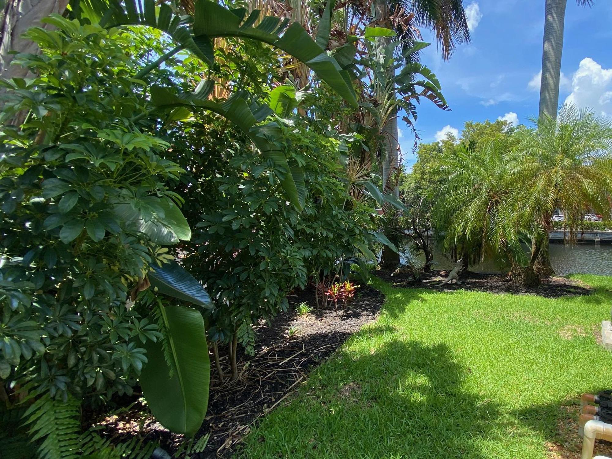 Riverbank Guesthouse Wilton Manors Dış mekan fotoğraf